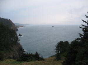 Pacific Coastline via Oregon.