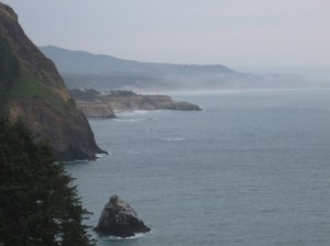 Pacific Ocean Fact:  There are several volcanoes in the Pacific Ocean Basin.