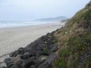 The Pacific Ocean (and all oceans) need our help, there are many organizations that want to help save the oceans.  We just cannot live without them.