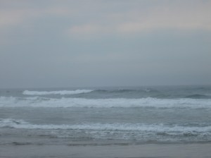 Pacific Ocean Fact:  25,000 island also call the Pacific Ocean home, including Hawaii.