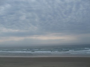 The amazing view of the Pacific Ocean from the private beach.