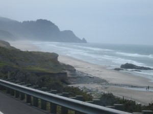 Pacific Ocean Fact:  Seven (7) of the  deepest ocean trenches in the world are found in the Pacific Ocean. 