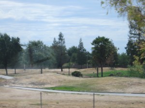 Rain is needed badly.