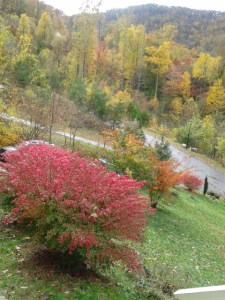 The view from the front door of our latest farm stay.  North Carolina is beautiful!