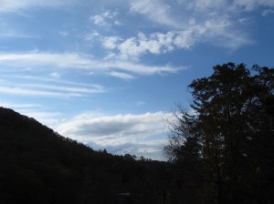 This is not Kentucky. I misplaced my Kentucky pics, so I hope you enjoy North Carolina.